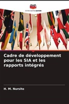 H. M. Nursito - Cadre de développement pour les SIA et les rapports intégrés