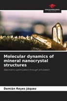 Damián Reyes Jáquez - Molecular dynamics of mineral nanocrystal structures