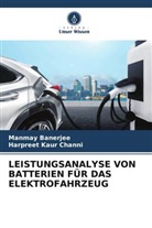 Manmay Banerjee, Harpreet Kaur Channi - LEISTUNGSANALYSE VON BATTERIEN FÜR DAS ELEKTROFAHRZEUG