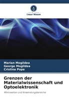 George Mogildea, Marian Mogildea, Cristina Popa - Grenzen der Materialwissenschaft und Optoelektronik