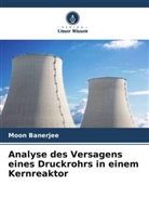 Moon Banerjee - Analyse des Versagens eines Druckrohrs in einem Kernreaktor