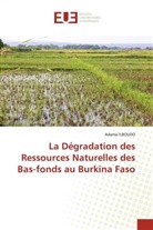 Adama ILBOUDO - La Dégradation des Ressources Naturelles des Bas-fonds au Burkina Faso