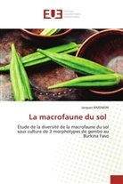 Jacques BAZEMON - La macrofaune du sol