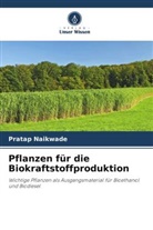 Pratap Naikwade - Pflanzen für die Biokraftstoffproduktion