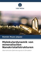 Damián Reyes Jáquez - Molekulardynamik von mineralischen Nanokristallstrukturen