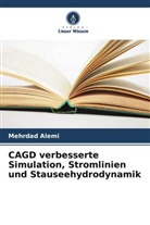 Mehrdad Alemi - CAGD verbesserte Simulation, Stromlinien und Stauseehydrodynamik