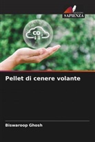 Biswaroop Ghosh - Pellet di cenere volante