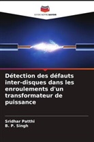 Sridhar Patthi, B. P. Singh - Détection des défauts inter-disques dans les enroulements d'un transformateur de puissance