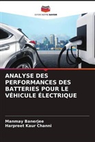 Manmay Banerjee, Harpreet Kaur Channi - ANALYSE DES PERFORMANCES DES BATTERIES POUR LE VÉHICULE ÉLECTRIQUE