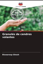 Biswaroop Ghosh - Granulés de cendres volantes