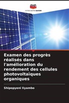 Shipopyeni Iiyambo - Examen des progrès réalisés dans l'amélioration du rendement des cellules photovoltaïques organiques