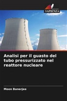 Moon Banerjee - Analisi per il guasto del tubo pressurizzato nel reattore nucleare