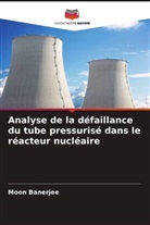Moon Banerjee - Analyse de la défaillance du tube pressurisé dans le réacteur nucléaire