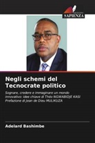 Adelard Bashimbe - Negli schemi del Tecnocrate politico