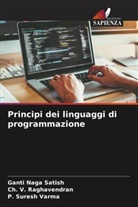 Ganti Naga Satish, Ch. V. Raghavendran, P. Suresh Varma - Principi dei linguaggi di programmazione