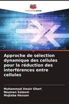 Muhammad Umair Ghori, Mujtaba Hassan, Nouman Saleem - Approche de sélection dynamique des cellules pour la réduction des interférences entre cellules