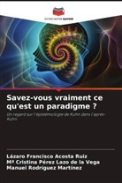 Lázaro Francisco Acosta Ruiz, Mª Cristina Pérez Lazo de la Vega, Manuel Rodríguez Martínez - Savez-vous vraiment ce qu'est un paradigme ?