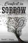 David C. McGee - Comfort in Sorrow