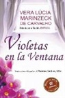 Vera Lúcia Marinzeck de Carvalho, Romance de Patrícia - Violetas en la Ventana