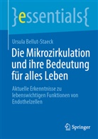 Ursula Bellut-Staeck - Die Mikrozirkulation und ihre Bedeutung für alles Leben