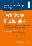 Gross, Dietmar Gross, Werner Hauger, Peter Wriggers - Technische Mechanik 4