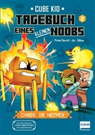 Laura Rivière, Pirate Sourcil, Jez, Odone, Cube Kid, Cube Kid - Tagebuch eines kleinen Noobs- Bd. 2 - Chaos im Nether