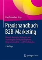 Seebacher, Uwe Seebacher - Praxishandbuch B2B-Marketing