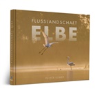 Oliver Ulmer, Oliver Ulmer - Flusslandschaft Elbe