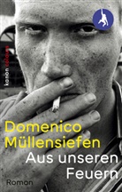 Domenico Müllensiefen - Aus unseren Feuern