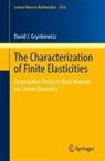 David J Grynkiewicz, David J. Grynkiewicz - The Characterization of Finite Elasticities