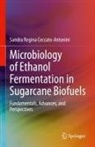 Sandra Regina Ceccato-Antonini - Microbiology of Ethanol Fermentation in Sugarcane Biofuels