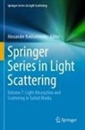 Alexander Kokhanovsky - Springer Series in Light Scattering