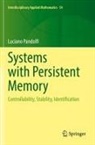 Luciano Pandolfi - Systems with Persistent Memory