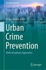 Miguel Saraiva - Urban Crime Prevention