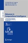Bella Martínez Seis, Juan Martínez-Miranda, Obdulia Pichardo Lagunas - Advances in Computational Intelligence