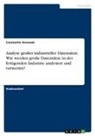 Constantin Sinowski - Analyse großer industrieller Datensätze. Wie werden große Datensätze in der fertigenden Industrie analysiert und verwertet?