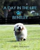 Cheryl Friedman - A Day in the Life of Bentley