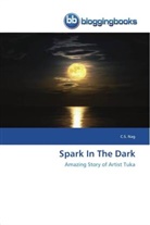 C. S. Nag, C.S. Nag - Spark In The Dark