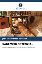 José Justo Mateo Sánchez - SÄGEMEHLPOTENZIAL