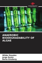 Jorge Durán, Berta Ginzberg, Wilder Rosales - ANAEROBIC BIODEGRADABILITY OF ALGAE