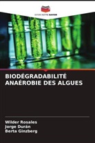 Jorge Durán, Berta Ginzberg, Wilder Rosales - BIODÉGRADABILITÉ ANAÉROBIE DES ALGUES