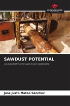 José Justo Mateo Sánchez - SAWDUST POTENTIAL
