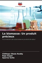 Aparna Golla, Raja Gopal, Chittepu Obula Reddy - La biomasse: Un produit précieux