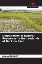 Adama ILBOUDO - Degradation of Natural Resources in the Lowlands of Burkina Faso