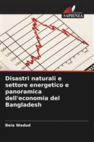 Bela Wadud - Disastri naturali e settore energetico e panoramica dell'economia del Bangladesh