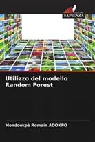 Mondoukpè Romain Adokpo - Utilizzo del modello Random Forest