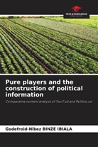 Godefroid-Nibez Binze Ibiala - Pure players and the construction of political information