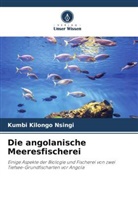 Kumbi Kilongo Nsingi - Die angolanische Meeresfischerei