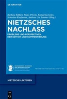 Barbara Beßlich, Paolo D´Iorio, Katharina Grätz, Katharina Grätz u a, Sebastian Kaufmann, Andreas Urs Sommer - Nietzsches Nachlass