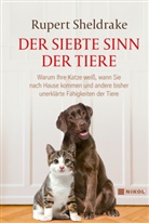 Rupert, Rupert Sheldrake - Der siebte Sinn der Tiere